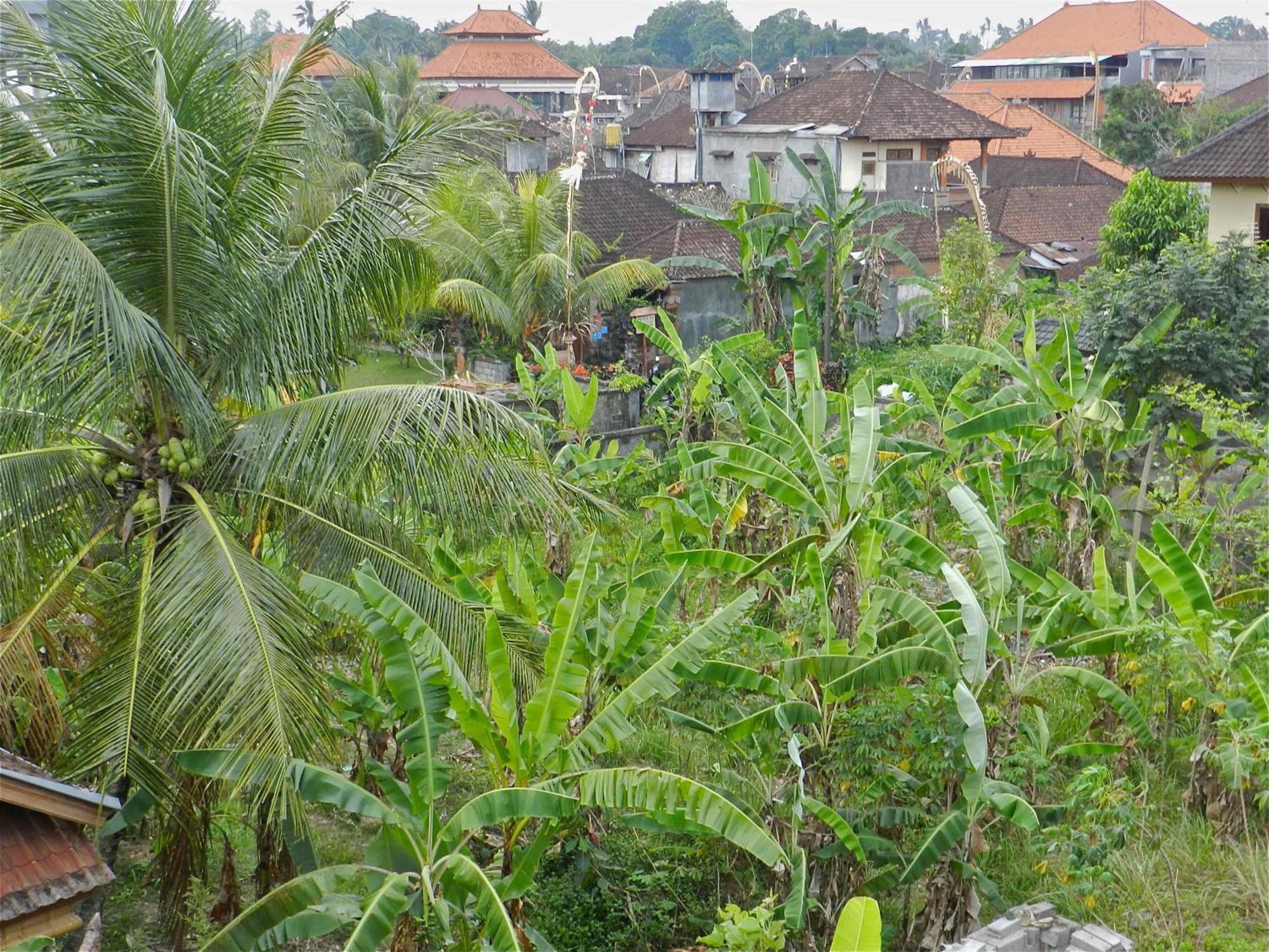 Kori Bali I Ubud (Bali)