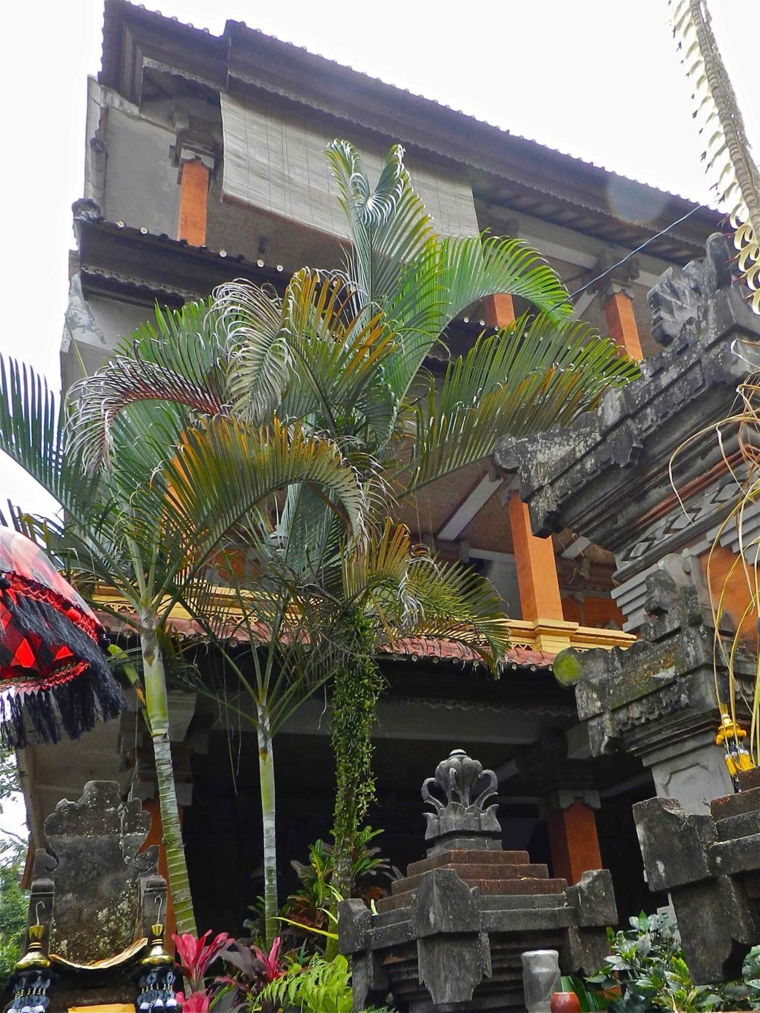 Kori Bali I